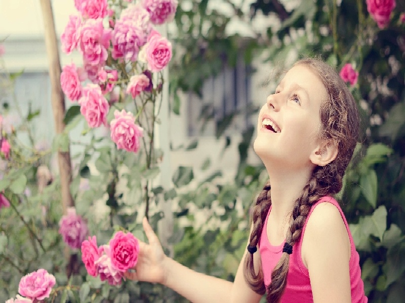 试管中用保温袋,试管时间吃海参